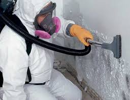 Why You Should Choose Our Mold Remediation Services in Piedmont, SC